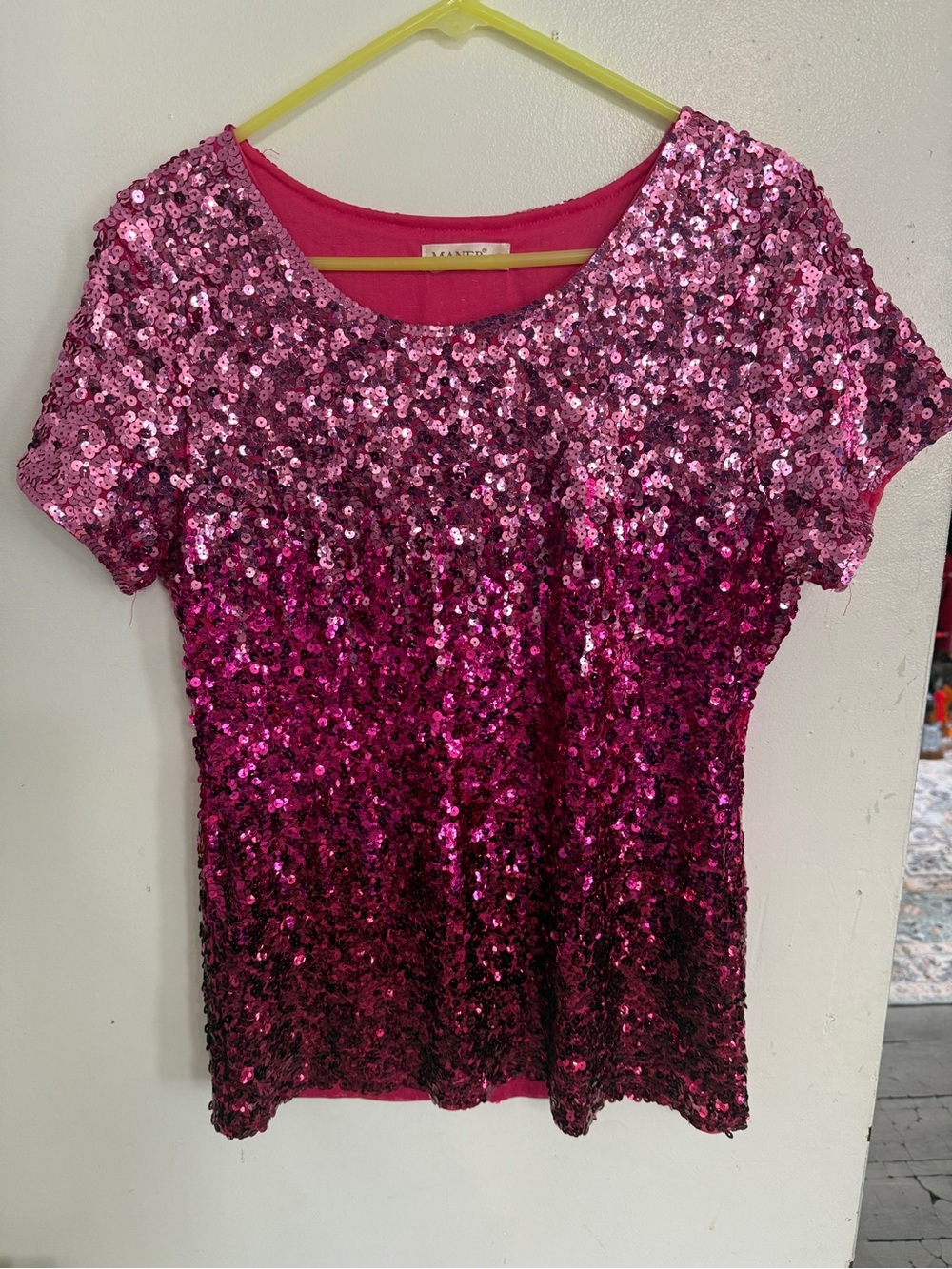 Sequined Ombre Scoop Neck Blouse in Pink
